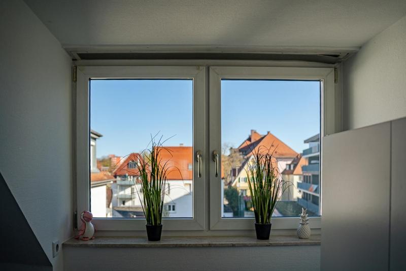 Charlotte Sonnenschein *